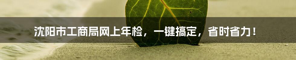 沈阳市工商局网上年检，一键搞定，省时省力！