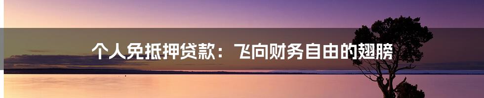 个人免抵押贷款:飞向财务自由的翅膀
