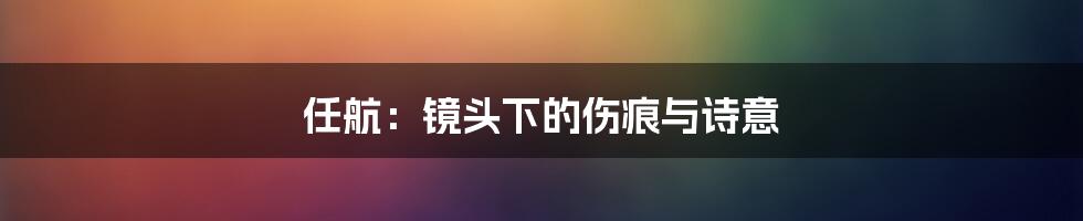 任航:镜头下的伤痕与诗意