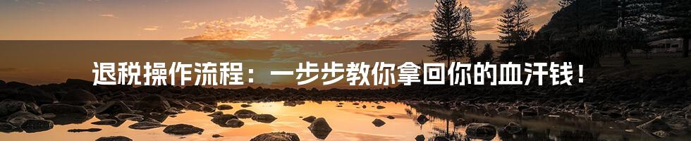 退税操作流程:一步步教你拿回你的血汗钱!