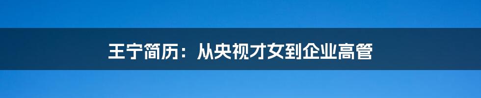 王宁简历:从央视才女到企业高管