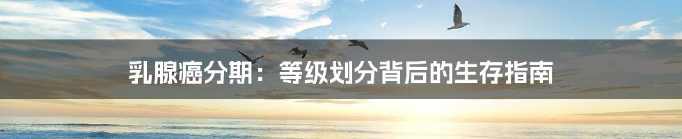 乳腺癌分期：等级划分背后的生存指南