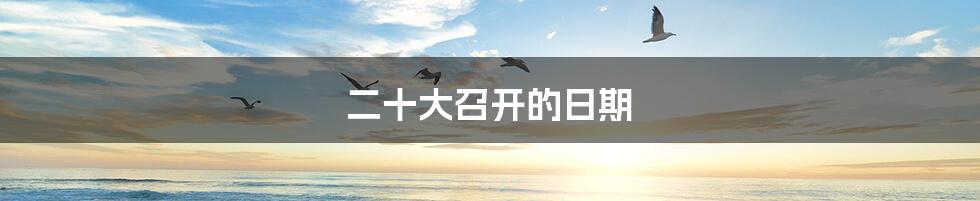二十大召开的日期