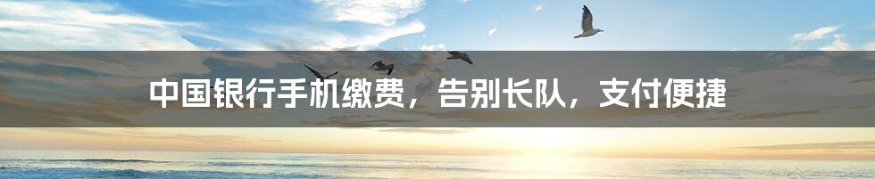 中国银行手机缴费,告别长队,支付便捷