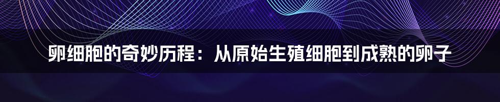 卵细胞的奇妙历程：从原始生殖细胞到成熟的卵子