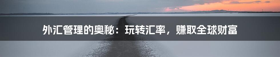 外汇管理的奥秘:玩转汇率,赚取全球财富