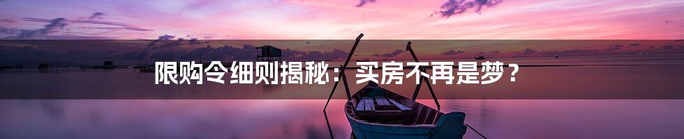 限购令细则揭秘:买房不再是梦?