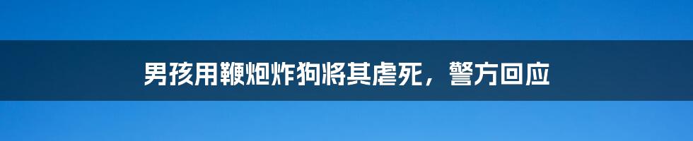 男孩用鞭炮炸狗将其虐死，警方回应