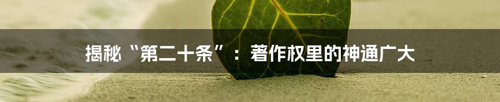 揭秘“第二十条”：著作权里的神通广大