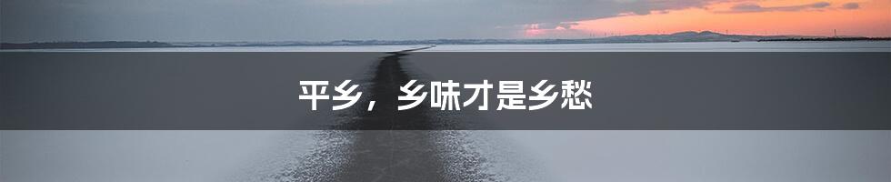 平乡,乡味才是乡愁