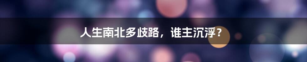 人生南北多歧路,谁主沉浮?