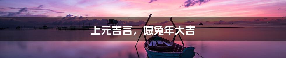 上元吉言,愿兔年大吉