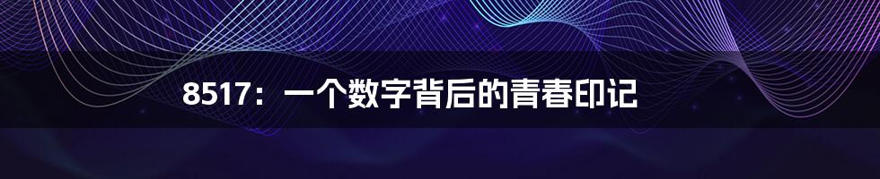 8517：一个数字背后的青春印记