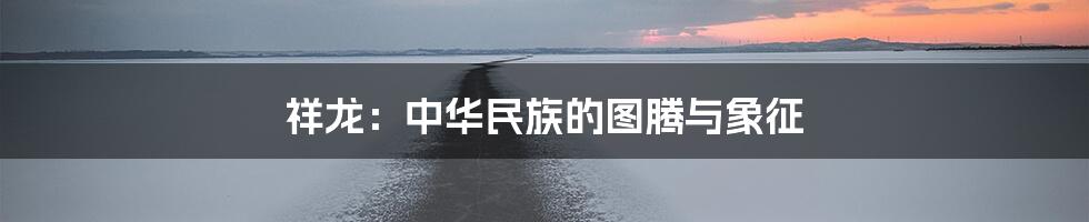 祥龙:中华民族的图腾与象征