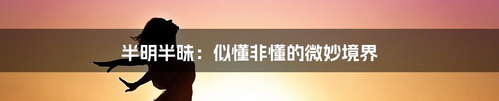 半明半昧：似懂非懂的微妙境界
