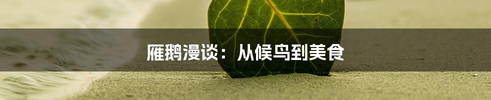 雁鹅漫谈:从候鸟到美食