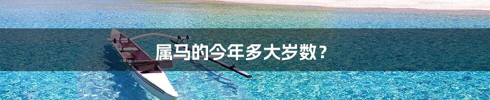 属马的今年多大岁数?