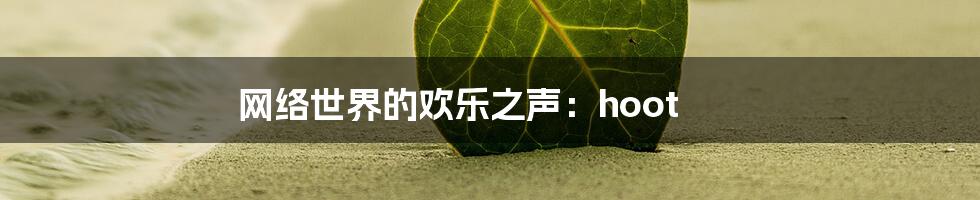 网络世界的欢乐之声:hoot