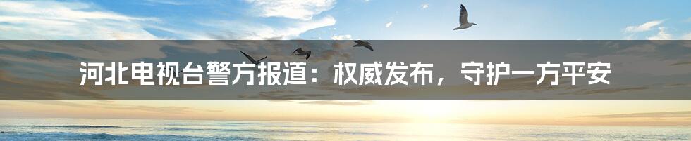 河北电视台警方报道:权威发布,守护一方平安