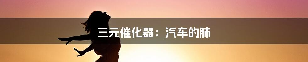 三元催化器：汽车的肺
