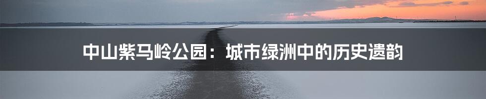 中山紫马岭公园:城市绿洲中的历史遗韵