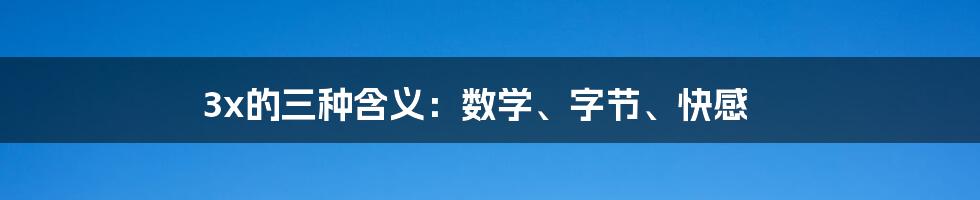 3x的三种含义:数学、字节、快感