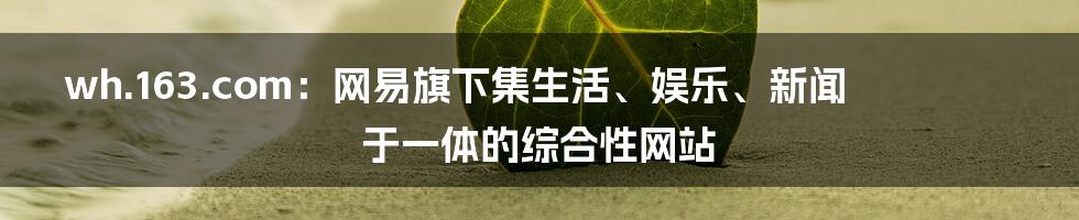 wh.163.com：网易旗下集生活、娱乐、新闻于一体的综合性网站