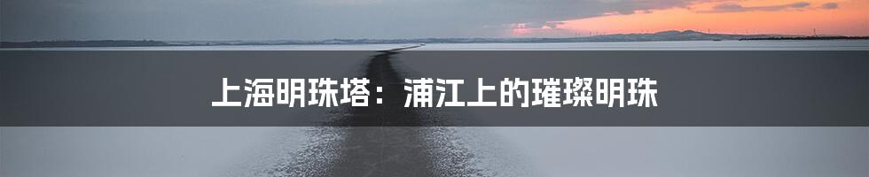 上海明珠塔：浦江上的璀璨明珠