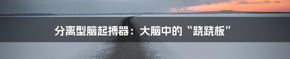 分离型脑起搏器：大脑中的“跷跷板”