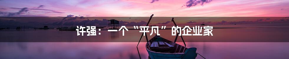 许强:一个“平凡”的企业家