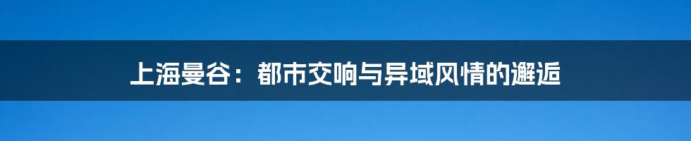 上海曼谷:都市交响与异域风情的邂逅