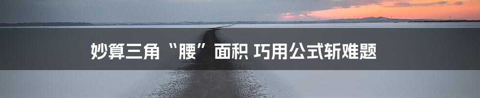 妙算三角“腰”面积 巧用公式斩难题