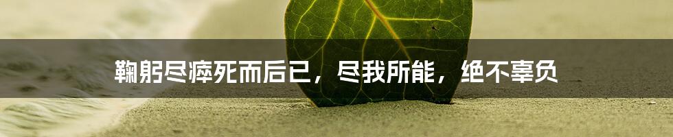 鞠躬尽瘁死而后已,尽我所能,绝不辜负