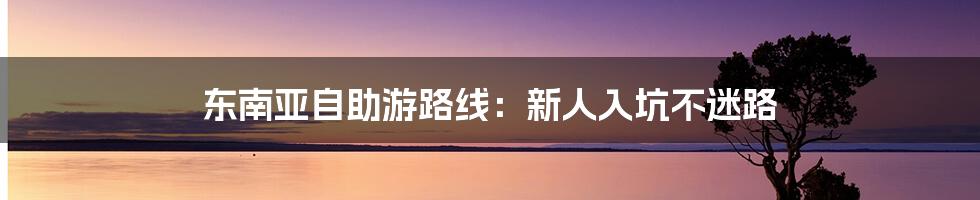 东南亚自助游路线：新人入坑不迷路