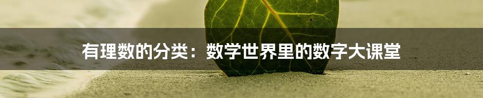 有理数的分类：数学世界里的数字大课堂