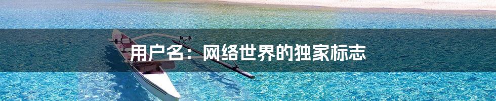 用户名：网络世界的独家标志