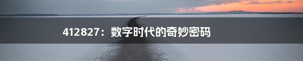 412827：数字时代的奇妙密码