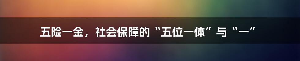 五险一金，社会保障的“五位一体”与“一”