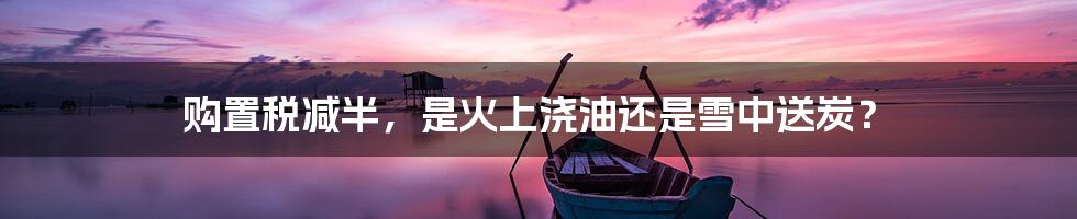 购置税减半，是火上浇油还是雪中送炭？