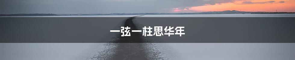 一弦一柱思华年