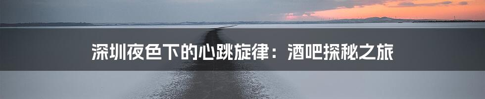 深圳夜色下的心跳旋律：酒吧探秘之旅