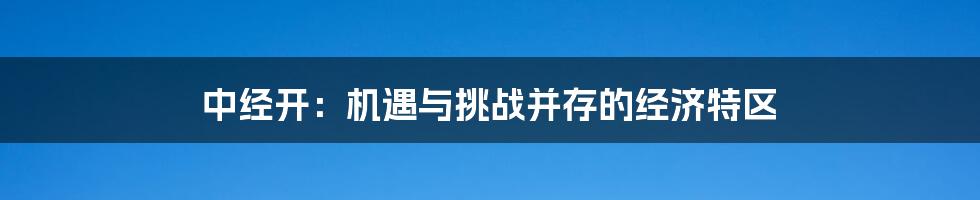 中经开:机遇与挑战并存的经济特区