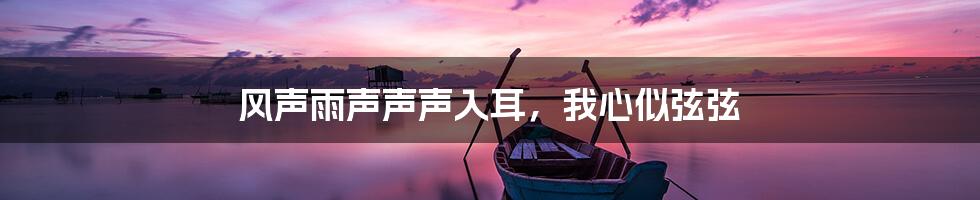 风声雨声声声入耳,我心似弦弦