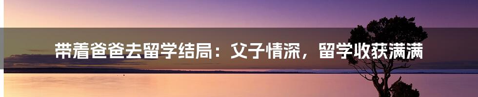 带着爸爸去留学结局:父子情深,留学收获满满