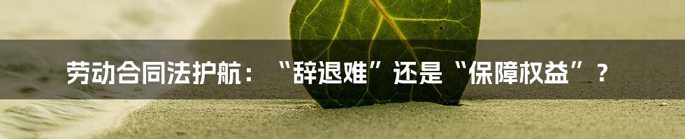 劳动合同法护航：“辞退难”还是“保障权益”？