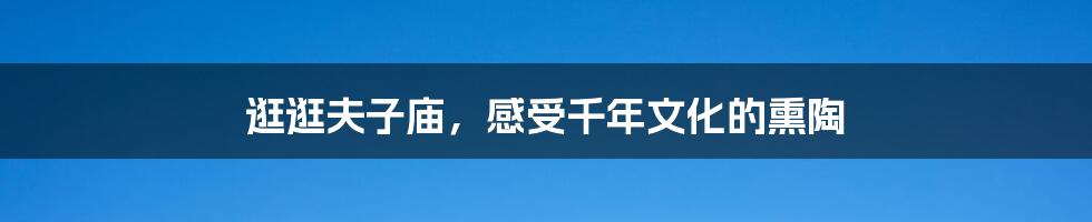 逛逛夫子庙,感受千年文化的熏陶