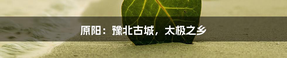 原阳：豫北古城，太极之乡