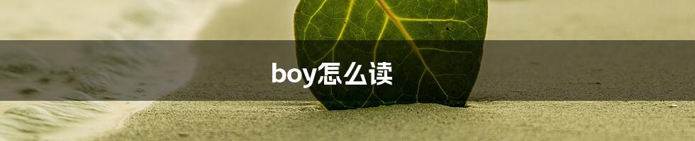 boy怎么读