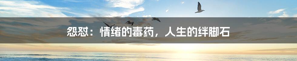 怨怼：情绪的毒药，人生的绊脚石