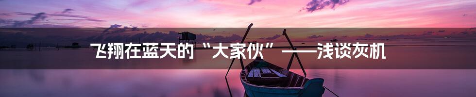 飞翔在蓝天的“大家伙”——浅谈灰机